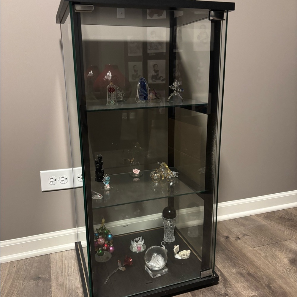Black Glass Display Cabinet